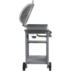 Barbecue à Gaz Avec Tablette à 3 Couches Noir Et Argenté VidaXL 11 Barbecue à Gaz Avec Tablette à 3 Couches Noir Et Argenté VidaXL -Jardin Calme Soldes Magasin 17377661 5