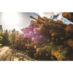 TRAEGER - Pellets BBQ PECAN -Jardin Calme Soldes Magasin 79118192 3