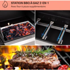 Klarstein Barbecue Gaz Camping Avec 5 Brûleurs à Gaz, Plancha Au Gaz De 13700W, Gril à Gaz En Acier Inoxydable, BBQ Feu A Gaz, Plancha Gaz Inox, Cuisinière Extérieure Camping Gaz Propane, Thermomètre 9 Klarstein Barbecue Gaz Camping Avec 5 Brûleurs à Gaz, Plancha Au Gaz De 13700W, Gril à Gaz En Acier Inoxydable, BBQ Feu A Gaz, Plancha Gaz Inox, Cuisinière Extérieure Camping Gaz Propane, Thermomètre -Jardin Calme Soldes Magasin 84159480 3