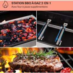 Klarstein Barbecue Gaz Camping Avec 4 Brûleurs à Gaz, Plancha Au Gaz De 10900W, Gril à Gaz En Acier Inoxydable, BBQ Feu A Gaz, Plancha Gaz Inox, Cuisinière Extérieure Camping Gaz Propane, Thermomètre -Jardin Calme Soldes Magasin 84159481 3 1