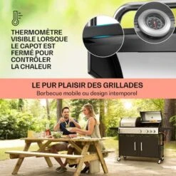 Klarstein Barbecue Gaz Camping Avec 4 Brûleurs à Gaz, Plancha Au Gaz De 10900W, Gril à Gaz En Acier Inoxydable, BBQ Feu A Gaz, Plancha Gaz Inox, Cuisinière Extérieure Camping Gaz Propane, Thermomètre -Jardin Calme Soldes Magasin 84159481 4 1