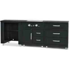 Cuisine D'extérieur 3 Modules Avec Gazinière