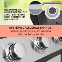 Klarstein Barbecue Gaz Camping 3 Brûleurs à Gaz, Plancha Au Gaz 3 Anneaux De 10.8 KW, Gril à Gaz En Acier Inoxydable, BBQ Exterieur Avec Feu A Gaz, Plancha Gaz Inox, Cuisinière Extérieure Gaz Propane -Jardin Calme Soldes Magasin 93970055 4